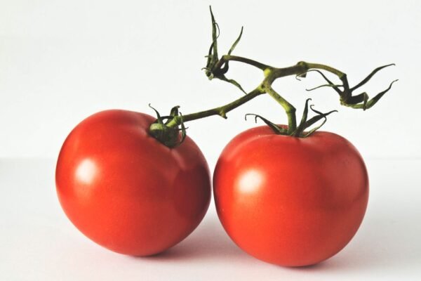 Tomates de la Huerta de Aranjuez